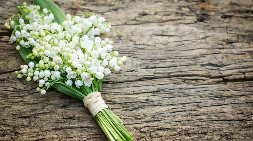 13 годовщина свадьбы